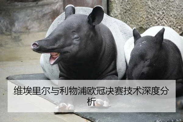 维埃里尔与利物浦欧冠决赛技术深度分析