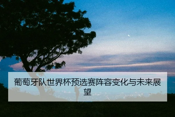 pu-tao-ya-dui-shi-jie-bei-yu-xuan-sai-zhen-rong-bian-hua-yu-wei-lai-zhan-wang-2-314.jpg