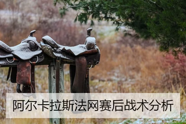 阿尔卡拉斯法网赛后战术分析