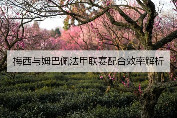 梅西与姆巴佩法甲联赛配合效率解析